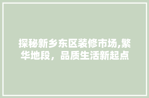 探秘新乡东区装修市场,繁华地段，品质生活新起点