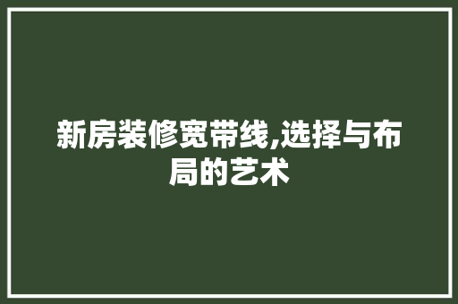 新房装修宽带线,选择与布局的艺术 建筑法规