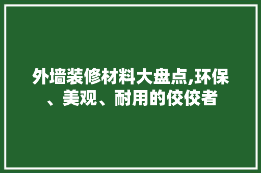 外墙装修材料大盘点,环保、美观、耐用的佼佼者