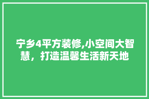 宁乡4平方装修,小空间大智慧，打造温馨生活新天地 建筑设计