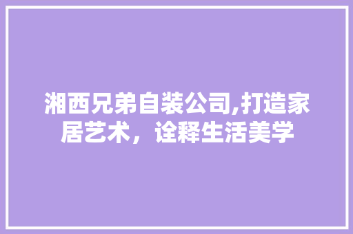湘西兄弟自装公司,打造家居艺术，诠释生活美学