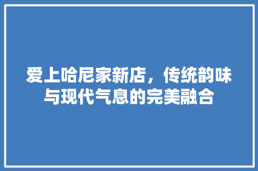 爱上哈尼家新店，传统韵味与现代气息的完美融合 工艺流程
