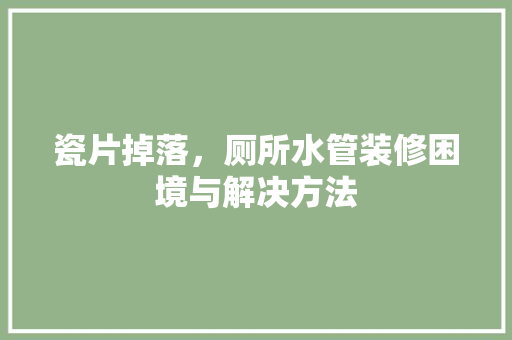 瓷片掉落，厕所水管装修困境与解决方法