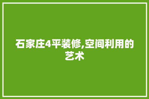 石家庄4平装修,空间利用的艺术 建筑设计