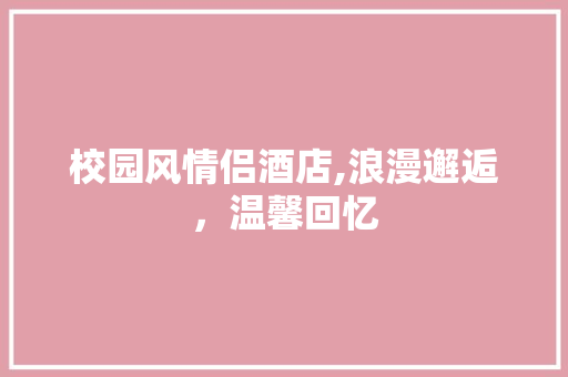 校园风情侣酒店,浪漫邂逅，温馨回忆