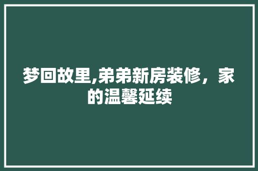 梦回故里,弟弟新房装修，家的温馨延续