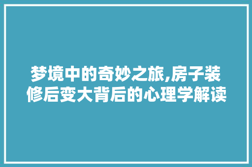 梦境中的奇妙之旅,房子装修后变大背后的心理学解读 新型材料