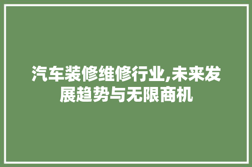 汽车装修维修行业,未来发展趋势与无限商机