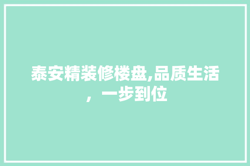 泰安精装修楼盘,品质生活，一步到位 工艺流程