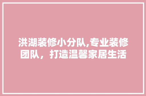 洪湖装修小分队,专业装修团队，打造温馨家居生活