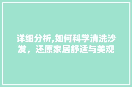 详细分析,如何科学清洗沙发，还原家居舒适与美观 常见问题