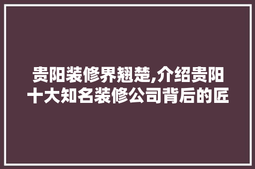 贵阳装修界翘楚,介绍贵阳十大知名装修公司背后的匠心独运 常用设备