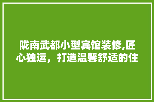 陇南武都小型宾馆装修,匠心独运，打造温馨舒适的住宿体验