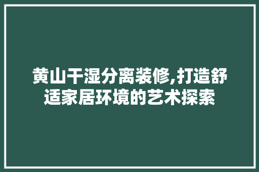 黄山干湿分离装修,打造舒适家居环境的艺术探索