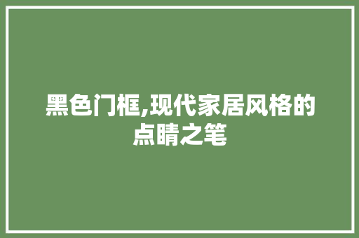 黑色门框,现代家居风格的点睛之笔