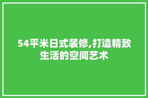 54平米日式装修,打造精致生活的空间艺术 设计原则