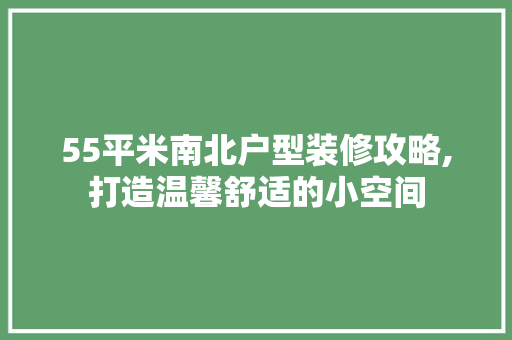 55平米南北户型装修攻略,打造温馨舒适的小空间 建筑法规