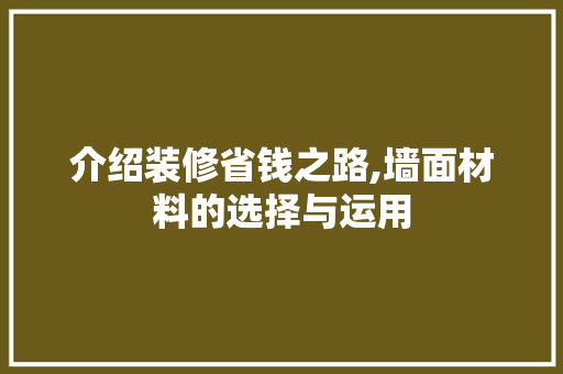 介绍装修省钱之路,墙面材料的选择与运用 施工工艺