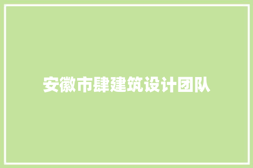 安徽市肆建筑设计团队