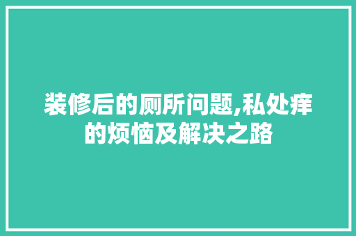 装修后的厕所问题,私处痒的烦恼及解决之路