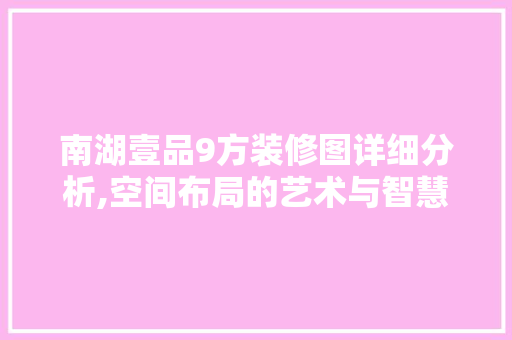 南湖壹品9方装修图详细分析,空间布局的艺术与智慧