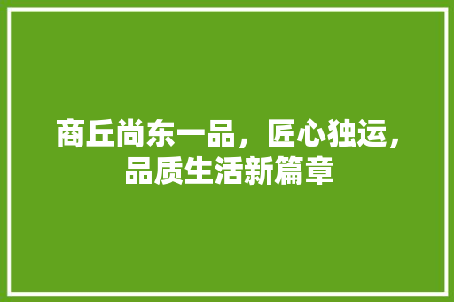 商丘尚东一品，匠心独运，品质生活新篇章 常见问题