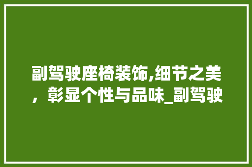 副驾驶座椅装饰,细节之美，彰显个性与品味_副驾驶座椅装饰
