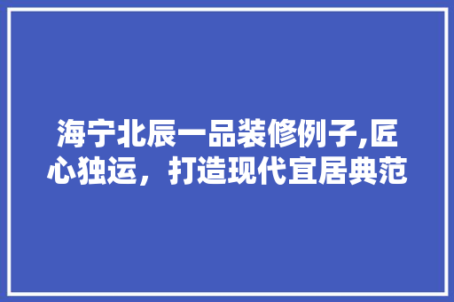 海宁北辰一品装修例子,匠心独运，打造现代宜居典范