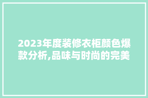 2023年度装修衣柜颜色爆款分析,品味与时尚的完美融合 材料设备
