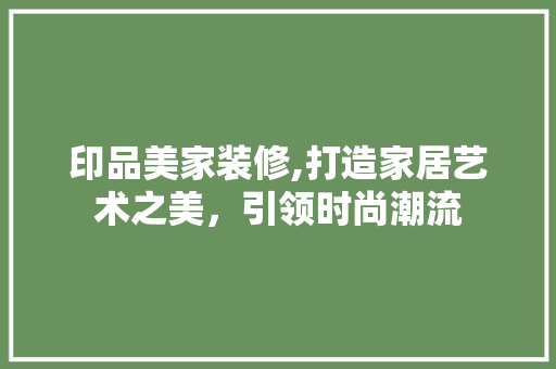 印品美家装修,打造家居艺术之美，引领时尚潮流 施工技术