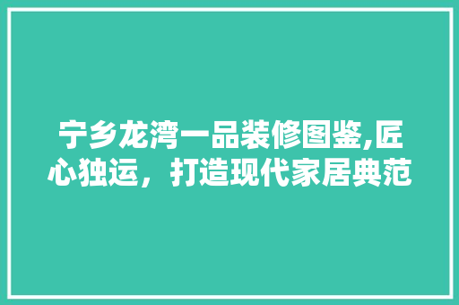 宁乡龙湾一品装修图鉴,匠心独运，打造现代家居典范