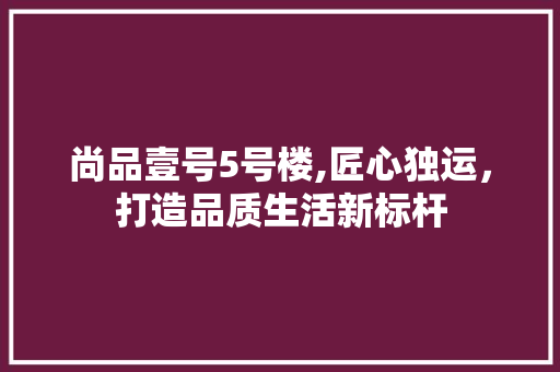 尚品壹号5号楼,匠心独运，打造品质生活新标杆 工艺流程