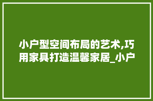 小户型空间布局的艺术,巧用家具打造温馨家居_小户型家具布置图片 知识问答