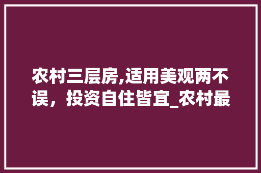农村三层房,适用美观两不误，投资自住皆宜_农村最适用的三层房图片及价格 设计原则