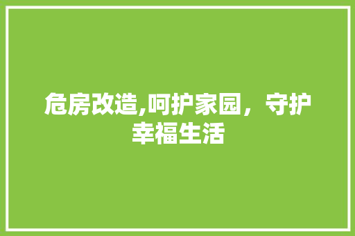 危房改造,呵护家园，守护幸福生活