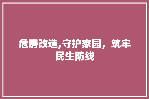 危房改造,守护家园，筑牢民生防线