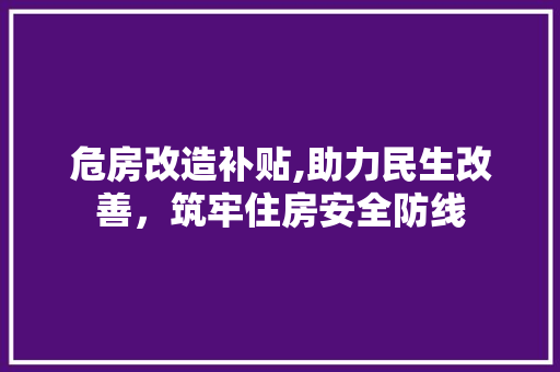 危房改造补贴,助力民生改善，筑牢住房安全防线 施工管理