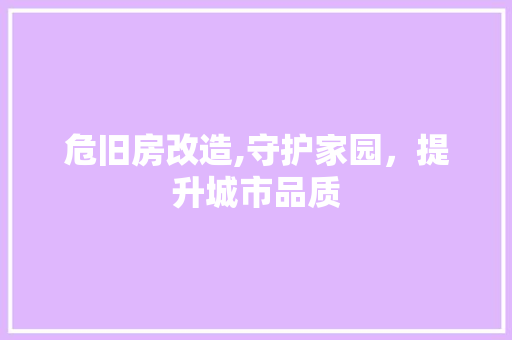 危旧房改造,守护家园，提升城市品质 设计原则