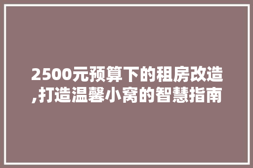 2500元预算下的租房改造,打造温馨小窝的智慧指南