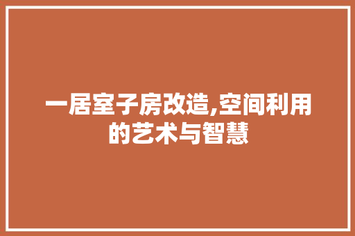一居室子房改造,空间利用的艺术与智慧
