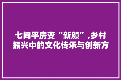 七间平房变“新颜”,乡村振兴中的文化传承与创新方法 新型材料