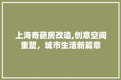 上海奇葩房改造,创意空间重塑，城市生活新篇章
