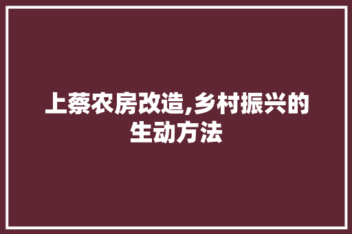 上蔡农房改造,乡村振兴的生动方法