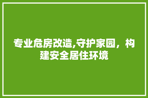 专业危房改造,守护家园，构建安全居住环境