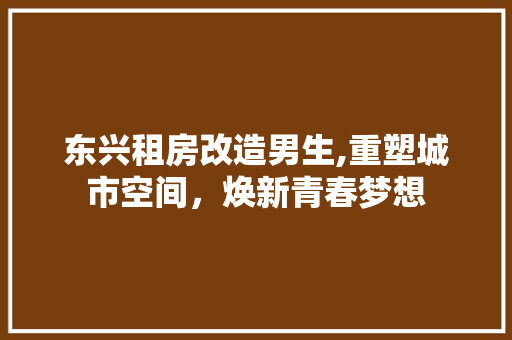 东兴租房改造男生,重塑城市空间，焕新青春梦想