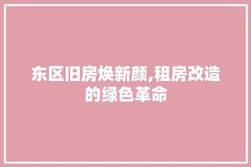 东区旧房焕新颜,租房改造的绿色革命