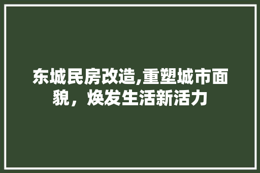 东城民房改造,重塑城市面貌，焕发生活新活力 公共建筑设计