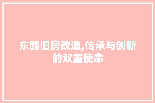 东路旧房改造,传承与创新的双重使命