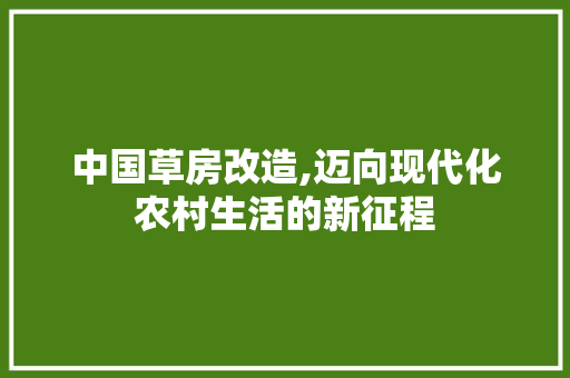 中国草房改造,迈向现代化农村生活的新征程