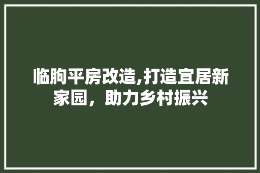 临朐平房改造,打造宜居新家园，助力乡村振兴